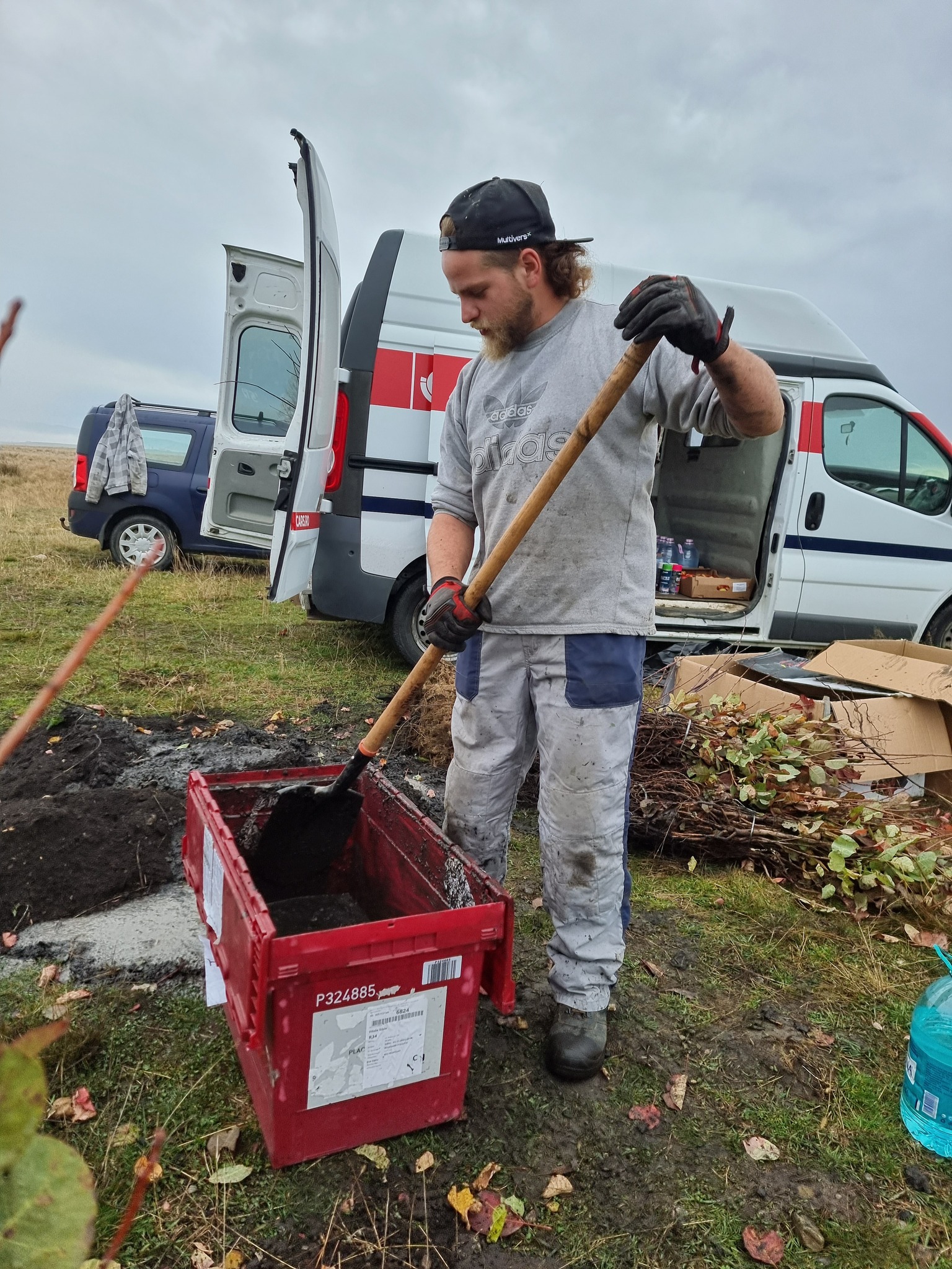 Plantare Ocna Sibiului 8